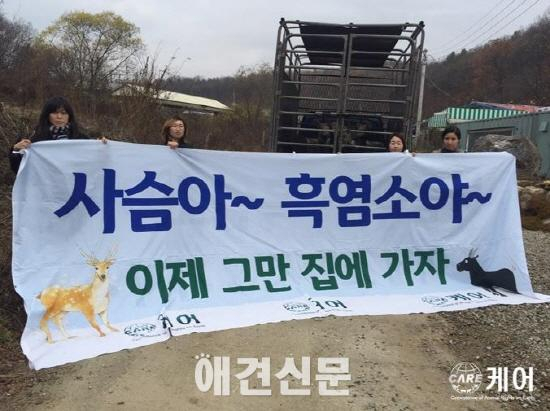 도축장으로 팔려간 서울대공원 동물들. 드디어 '집'으로...