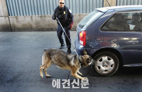 [기고문]  탐지견의 건강증진을 위한 전용사료 개발