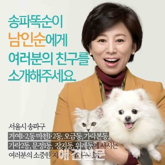 선거 홍보물에 등장한 개와 고양이