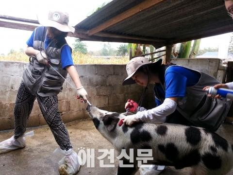 건국대 학생들 라오스에서 수의료 해외봉사 실시
