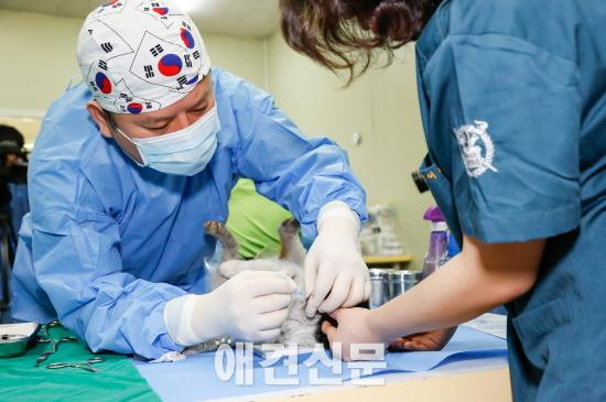 [포토뉴스] 김재영 고양이수의사회 회장 "공존을 위한 작은 움직임"