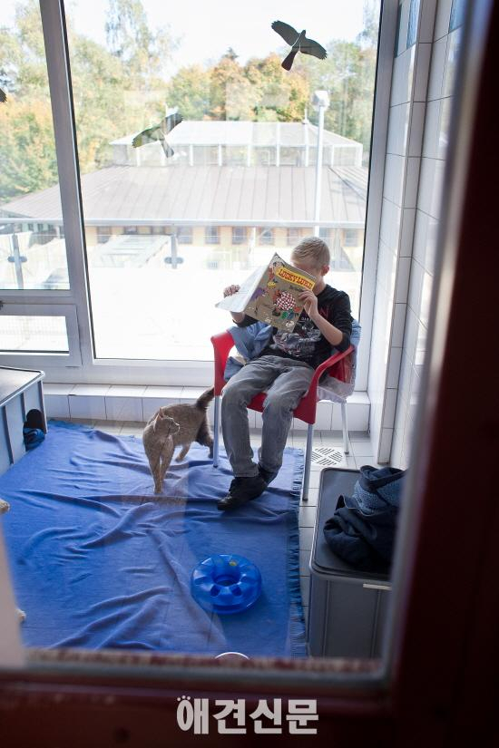 [앤드프로젝트] 독일 동물보호소 '티어하임' 풍경 #1