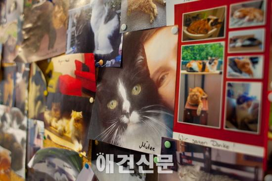 [앤드프로젝트] 독일 동물보호소 '티어하임' 풍경 #1