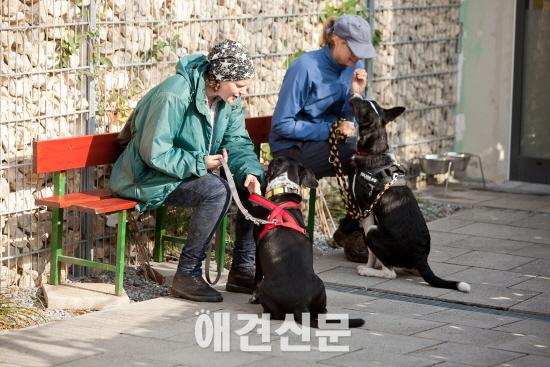 [앤드프로젝트] 독일 동물보호소 '티어하임' 풍경 #1