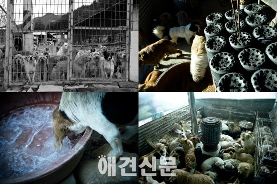 김삼열 작가의 포토에세이 #8 '이른 봄날'