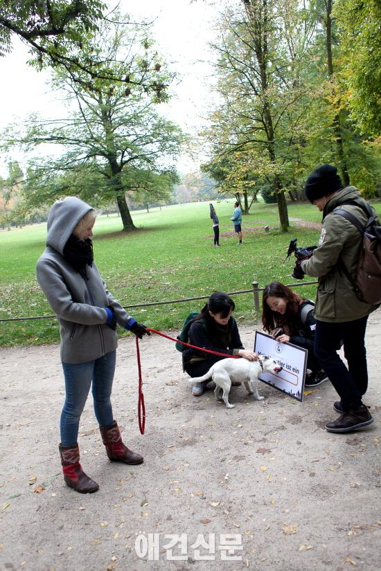 [앤드프로젝트] 나에게 반려동물은? #2