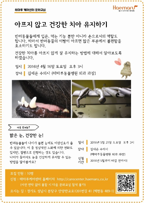 해마루 케어센터, 반려동물 치아관리 관련 문화강좌 개최