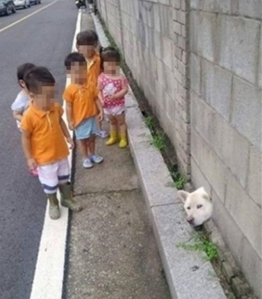 '아 그냥 봤을 뿐인데...이런 게 바로 개민망?'