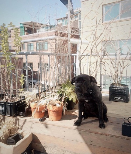 전혜진, 반려동물 요요-케로와 행복한 시간