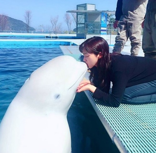 김고운, 돌고래와 상큼 입맞춤...'훈훈'