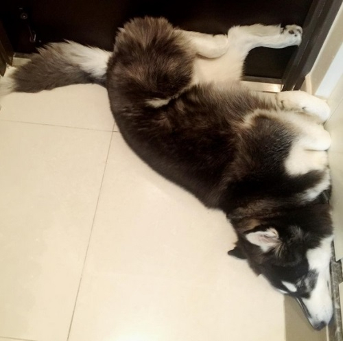 2AM 임슬옹, 그래미 근황 공개 오늘은 또 무슨 컨셉