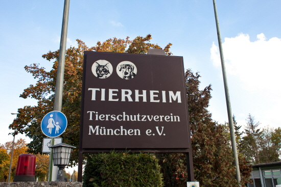 [앤드프로젝트5]황동열 대표의 독일 티어하임 견학단 후기