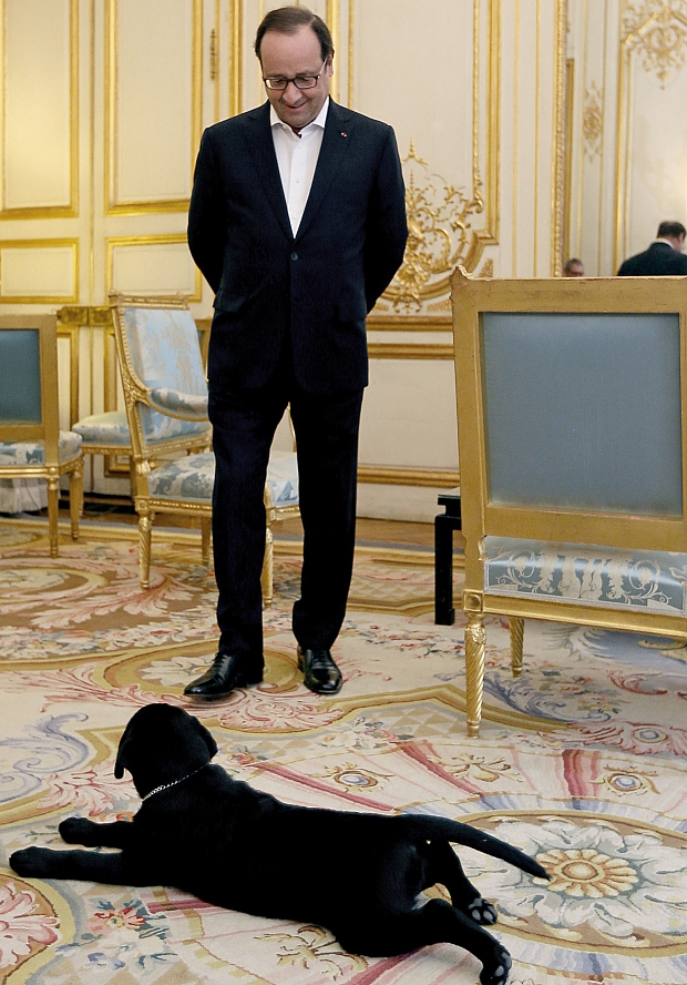 박근혜부터 오바마까지, 세계 정상들의 반려동물