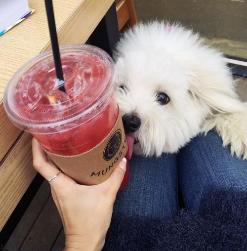 레인보우 재경, 마카롱과 즐거운 시간...신나쪙!