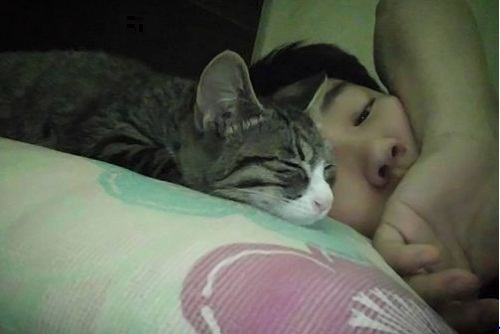 안재홍 반려묘 레이첼, 깜찍 애교 발사...'사랑스러워'