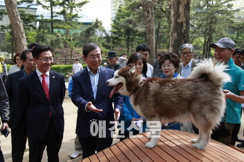 박원순 서울시장 '보라매 공원 반려견 놀이터 개장식'참석