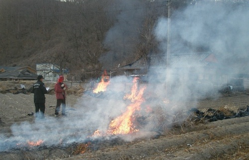 산불방지 위반행위 신고시 포상금 지급