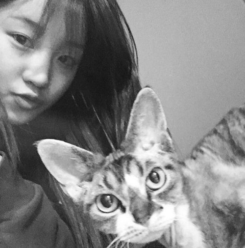 박보람과 고양이, 사랑스러운 투샷