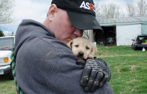 악몽에서 살아 돌아온 48마리의 개들