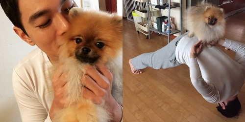 배우 이규한, 강아지 쳐다보는 눈빛에 '달달함이 뚝뚝'