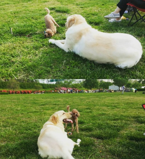 강소라, 반려견과 즐거운 나들이