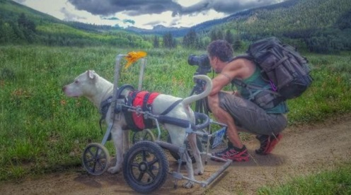 휠체어를 타고 전국을 여행한 멜