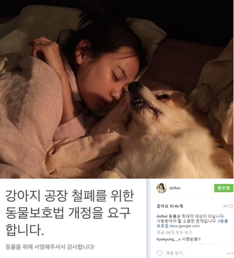 윤승아, 강아지 공장 철폐 주장 "사랑받아야 할 소중한 존재"