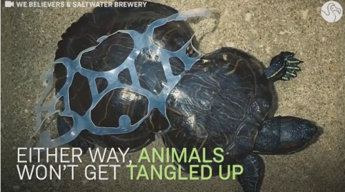 바다생물을 위한 식용 음료 패키지 개발