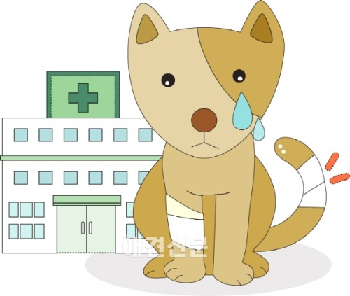 [한두환 변호사의 법률상식 ④] 보호자와 반려동물의 교통사고 Part1