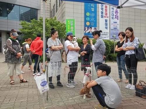 포항시, '반려동물과 행복이어가기' 성료