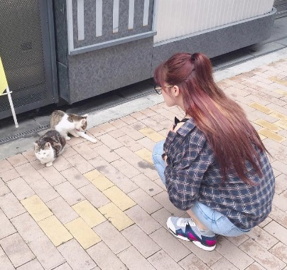 나인뮤지스 현아, 길고양이에 애교 발산 "나 좀 봐줘"