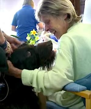 환자들에게 행복을 가져다 준 봉사견