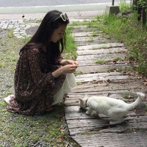 박하선, 길고양이 만나 "굶주린 아이.. 버리고 간걸까"