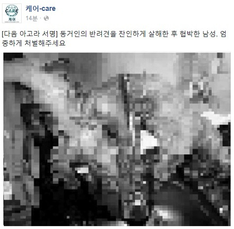 "반려견 죽인 뒤 동거녀 협박..강력 처벌해야" 케어, 서명운동 진행