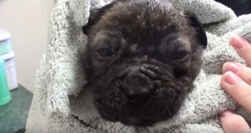 질병보다 더 큰 마음의 병을 앓고 있는 AJ