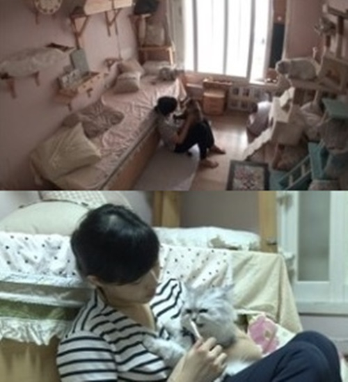 '나 혼자 산다' 선우선, 결혼관 고백 "고양이 사랑해주는 사람이었으면"