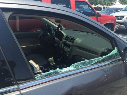 뜨거운 차 안에서 새끼 강아지를 구한 경찰