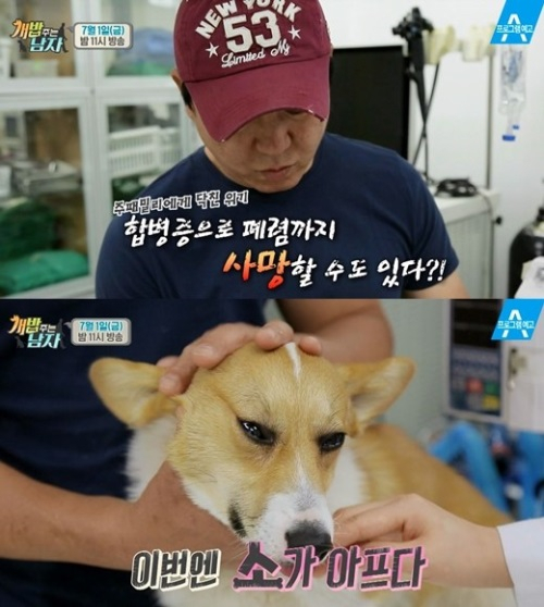 "반려견 소, 거대식도증 악화"...주병진 눈물
