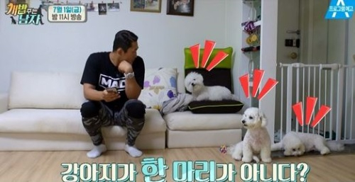 '개밥 주는 남자' 김동현 가족 공개, 귀여운 비숑프리제 세마리