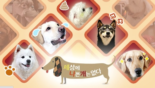 '세상에 나쁜 개는 없다' 밖에서 묶여 지내는 골든 리트리버 둥둥이