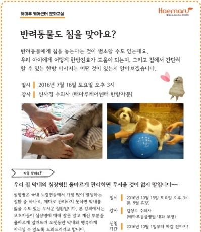 해마루케어센터, '반려동물도 침을 맞아요?' 강연 16일 개최