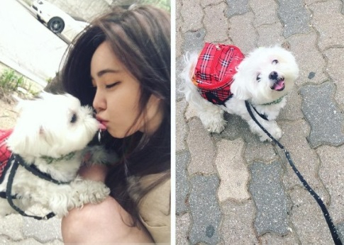 강예빈, 반려견과 사랑스러운 일상 "뽀뽀"