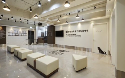 [인터뷰] 안재상 수의사, 국내 1호 안과 동물병원 개원