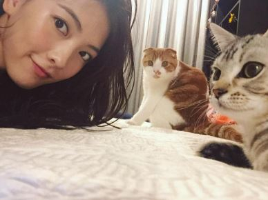 강지영, 이불 위 반려묘들과 '다정다감'