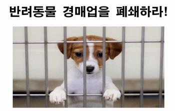 한국동물보호연합, 반려동물 인터넷 판매 금지 위한 1인 시위