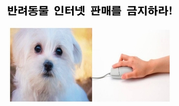 한국동물보호연합, 반려동물 인터넷 판매 금지 위한 1인 시위