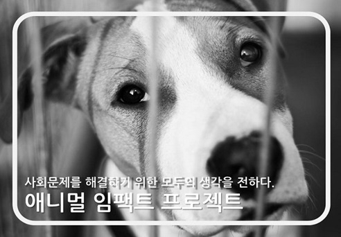 '마음을 움직이는 책프로젝트', 동물보호법 개정 위해 국회 도서 전달