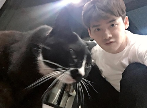 이종석, 고양이와 훈훈한 셀카 "지나가던 길냥이"