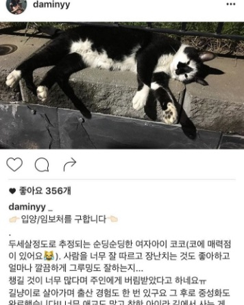 강민혁, "집 앞에서 발견한 고양이입니다"