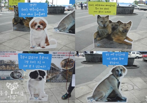 동물자유연대, 거리로 나간 개식용근절 캠페인 '꽃으로 채워진 개'